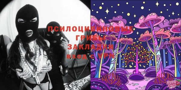 ECSTASY Зеленодольск