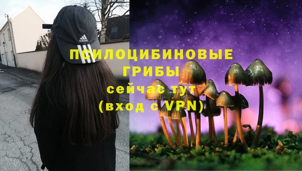 трава Волоколамск