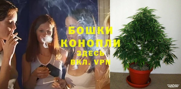 СК Волосово