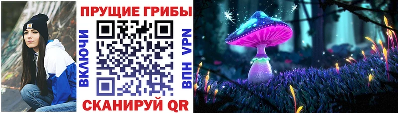 гидра как войти  Луховицы  Галлюциногенные грибы Magic Shrooms  цены  